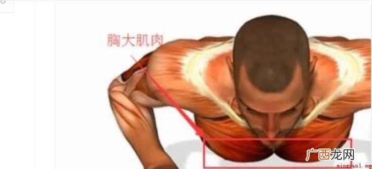 俯卧撑的正确做法是怎么样的