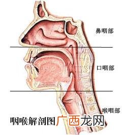 慢性咽炎怎么引起的,慢性咽炎会引起慢性肾炎吗？