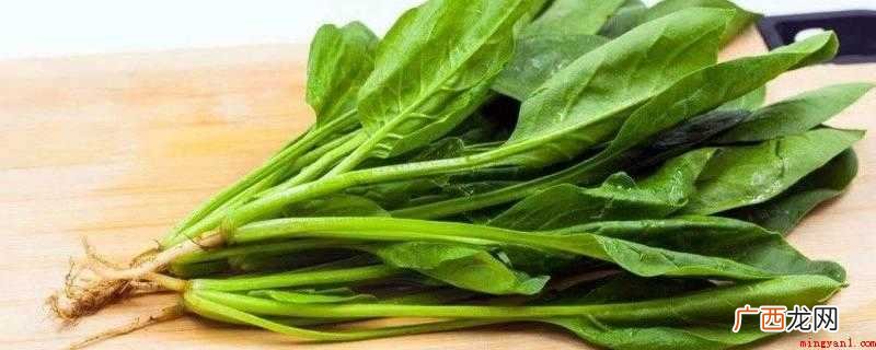 吃菠菜要注意些什么