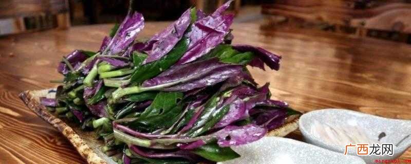 吃红背菜有什么好处