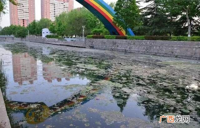 水体污染的主要来源,水体被污染的途径有那些？