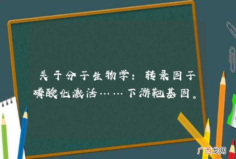 关于分子生物学：转录因子磷酸化激活……下游靶基因。我想问得是，这个下游靶基因是什么？谢谢！
