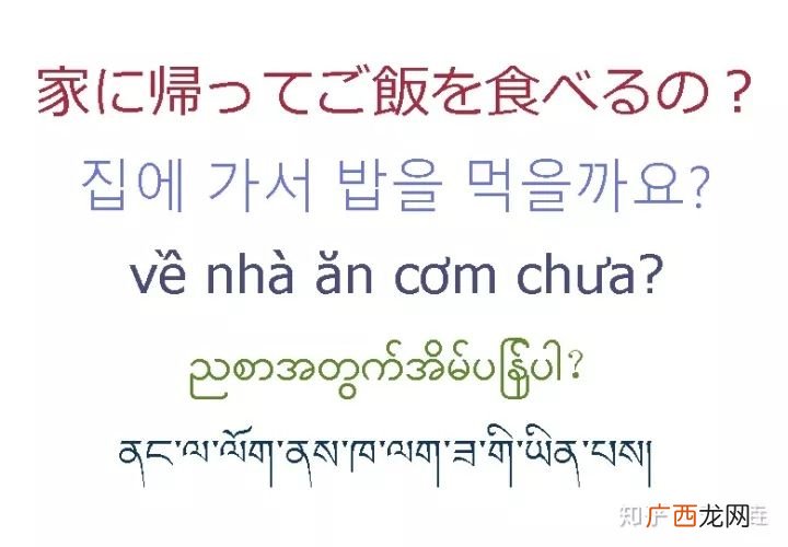 汉语属于什么语系,中国五大语系？