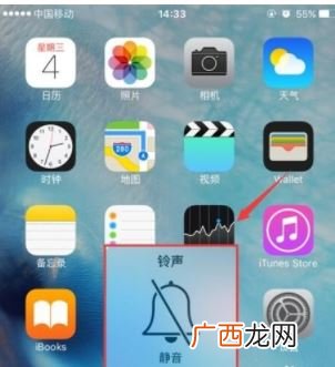 苹果手机没铃声了怎么回事,苹果手机怎么没有响铃了？