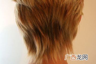 头发用英语怎么说,hair的同音词还有其他的吗？