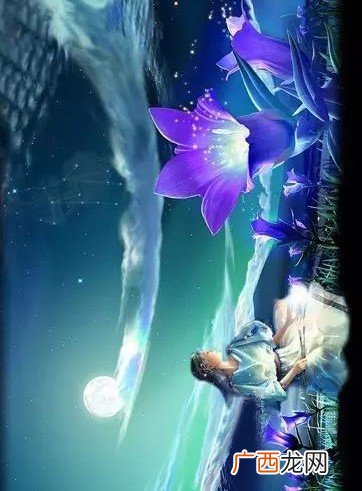 紫百合写了哪些小说,求类似抹茶曲奇、笑佳人、北倾的作者风格的小说，另外，谁有笑佳人的小说合集，求分享，宠文？