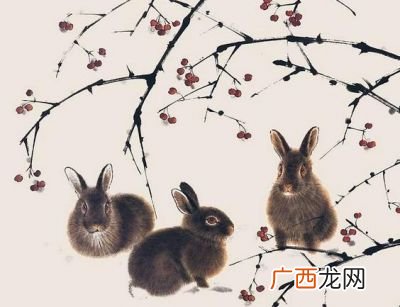 63年属什么,63年羊年多大岁数?