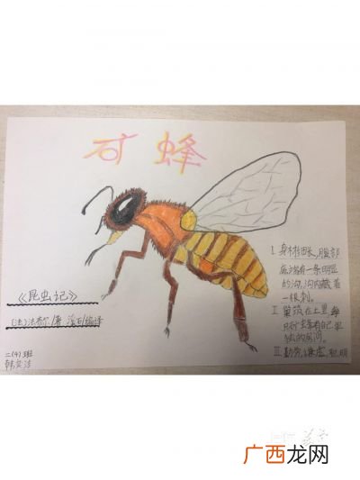 书虫是什么虫,“小书虫”是什么意思？