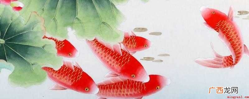 过年的时候吃鱼寓意着什么