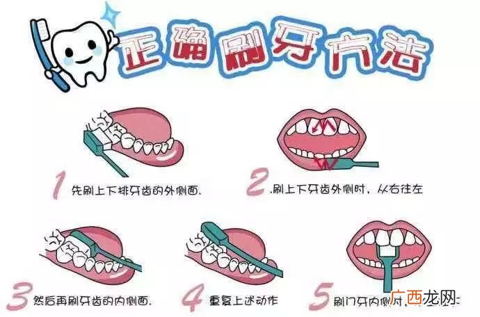 如何正确刷牙,正确刷牙方法的句子?