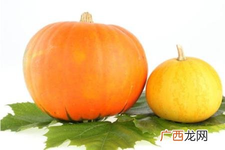 南瓜是蔬菜吗,南瓜属于蔬菜吗？