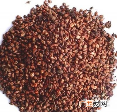 葡萄籽怎么吃,野生葡萄籽怎么吃？