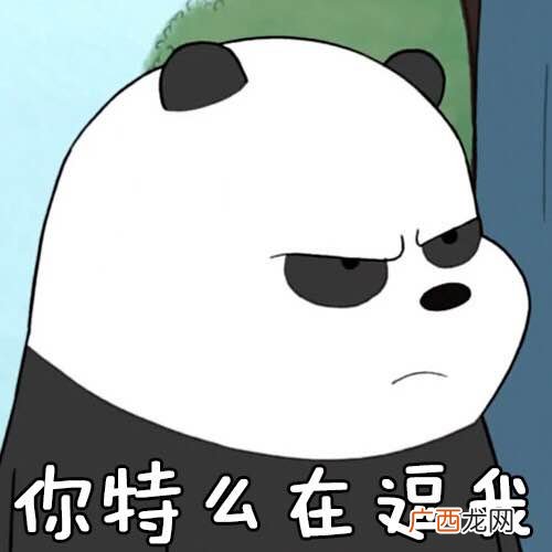 bum是什么意思,bomm名词解释？