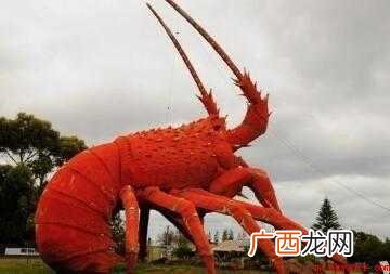 大龙虾怎样做才好吃【图文】 大龙虾怎样做才好吃