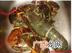 大龙虾怎样做才好吃【图文】 大龙虾怎样做才好吃