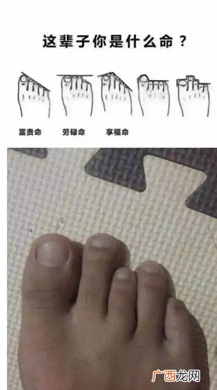 三长两短是什么生肖,三长两短是指什么生肖?谢谢?