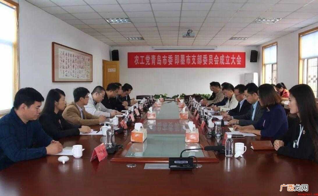 支部委员会会议记录怎么写