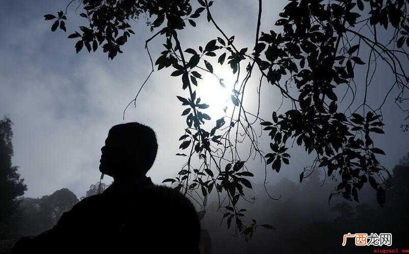 偶然,汉语词汇,拼音是:u rán,那么偶然的意思是什么 偶然的意思是什么