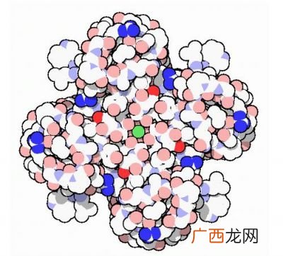 钾离子在人体内如何代谢,人身体缺钾是什么原因造成的？