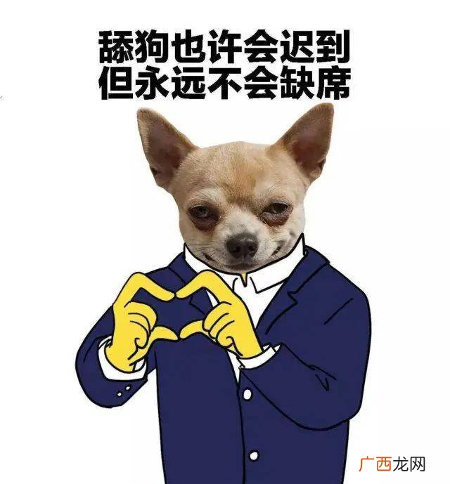 狗用英语怎么说,“狗”的英语单词怎么写？