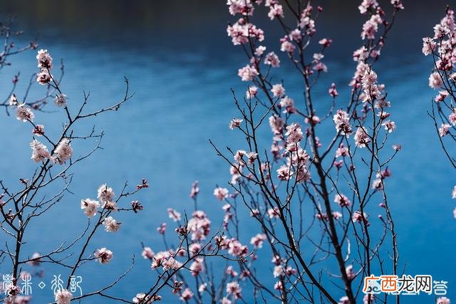 气节节气区别,初春、仲春、暮春怎么分?分别是什么意思？