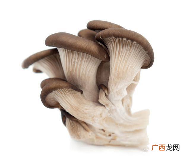 新鲜蘑菇怎么保存,新鲜蘑菇可以保存多久？