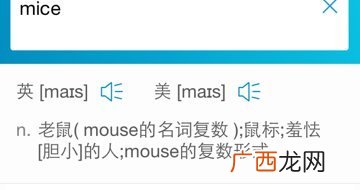 mice怎么读,mouse's怎么读？