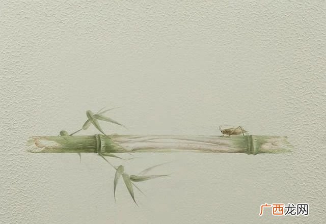 牛虻这本书表达的是什么意思,保尔看的牛虻什么内容？