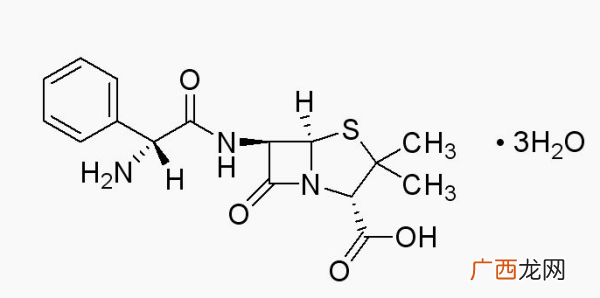谷氨酸是什么,谷氨酸的合成机制？