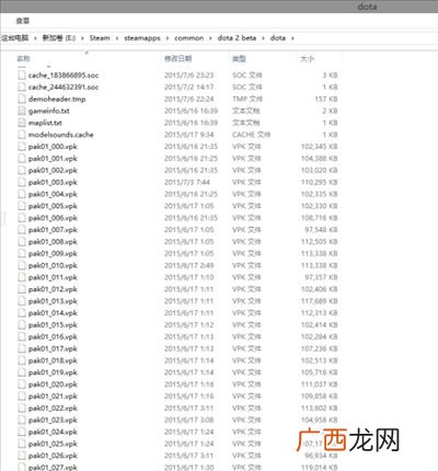 dota2vpk文件可以删除吗,VG是啥啊?