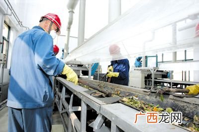 餐厨垃圾怎么处理的,餐厨垃圾处理方法有哪些？