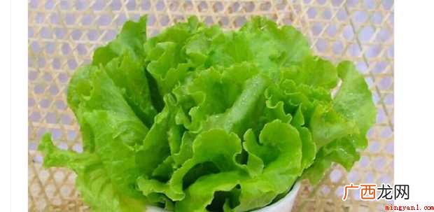 煎饼果子怎样做【图文】 煎饼果子怎样做