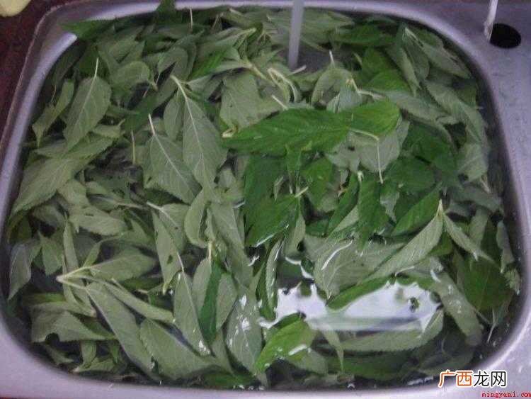 麻叶怎么炒
