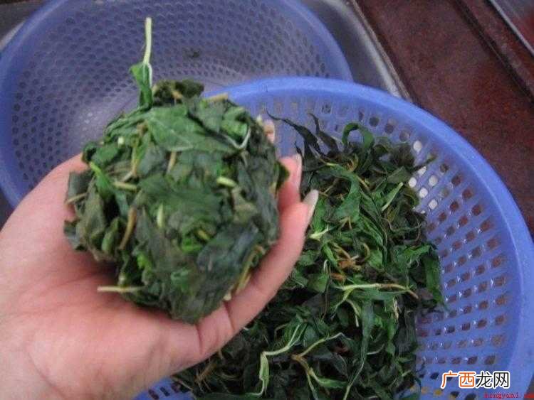 麻叶怎么炒