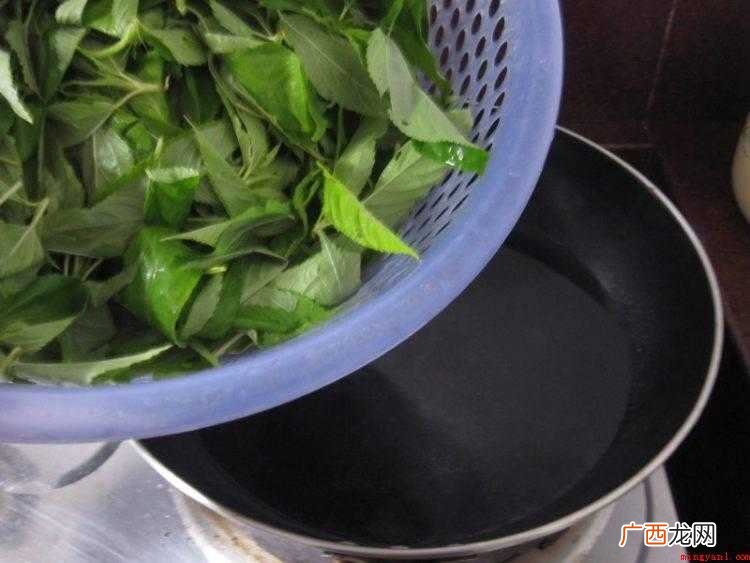 麻叶怎么炒