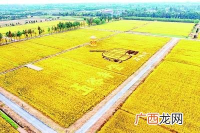 浙江有哪些市,浙江有哪些区?
