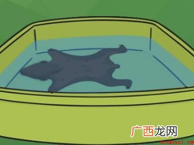 民间怎么熟带毛的皮子