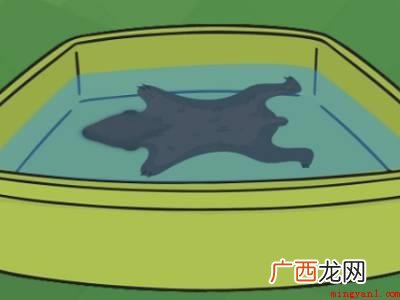 民间怎么熟带毛的皮子