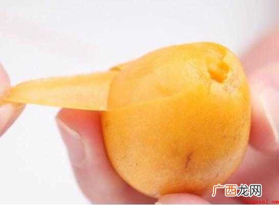 如何用枇杷做枇杷膏