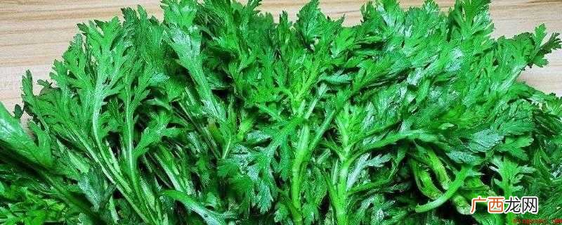 麻蒿菜的作用与功效
