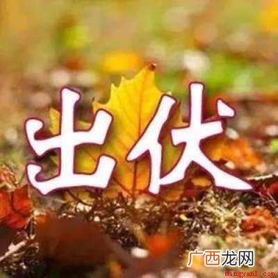 2021年三伏天从7月11日开始,到8月19号结束,总共是四 2021年出伏天是哪一天
