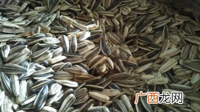 减肥能吃瓜子吗,问吃葵花籽会胖吗？