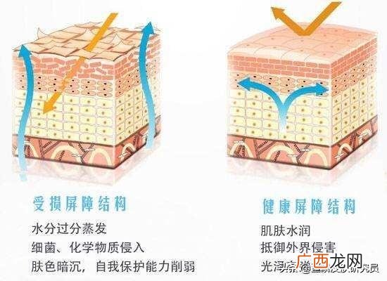 身体缺水怎么补水最快的速度,皮肤干燥怎么补水最快？