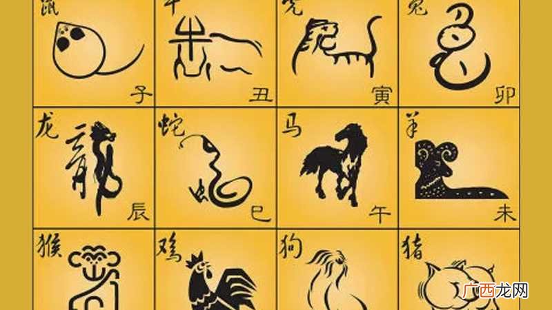 2022年五月份幸运数字:5、6生肖牛 属牛人的幸运数字是几