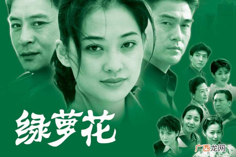 绿萝花的演员,巫刚演过什么电视剧？