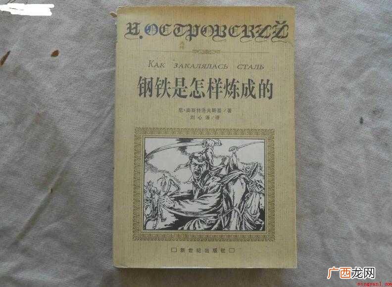 《钢铁是怎样炼成的》书是什么类别 《钢铁是怎样炼成的》书是什么类别的