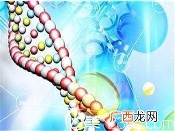 生长因子是什么,侧切伤口烂了个洞怎么办？