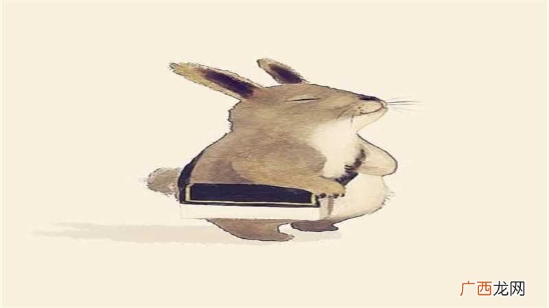 属兔的劫难在哪些年