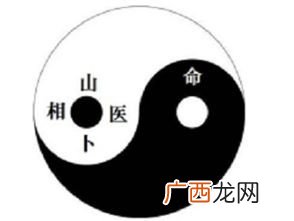 五术指的是什么,五术人才指什么？