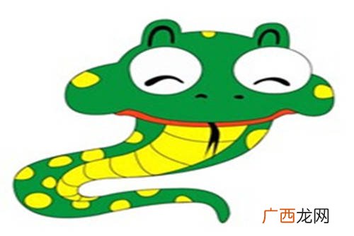 65年属什么生肖,1965属什么属性？
